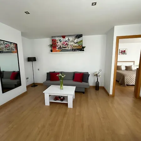 2 Big Terraces Penthouse Center Apartment Alicante