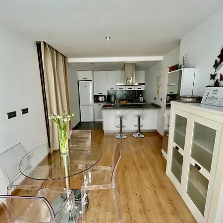 2 Big Terraces Penthouse Center Apartment Alicante