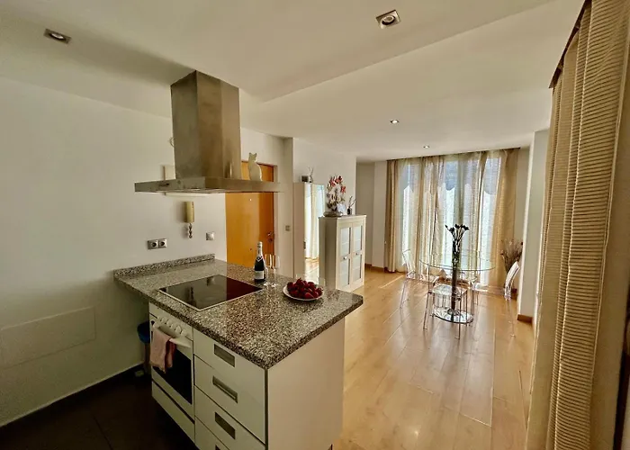 Apartment 2 Big Terraces Penthouse Center Alicante